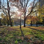 Mosholu Parkway