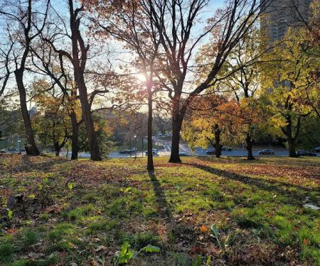 Mosholu Parkway