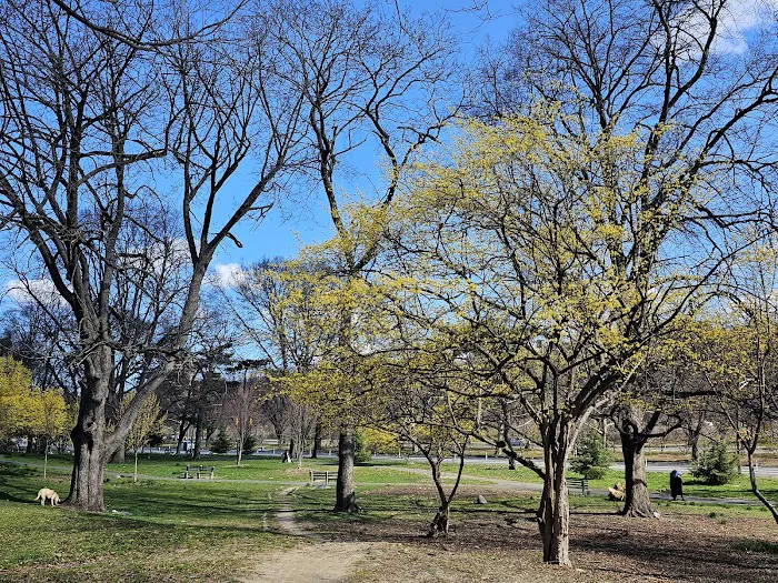 Mosholu Parkway Picture 7