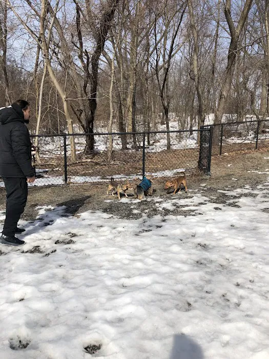 Dog Bone Run Picture 1