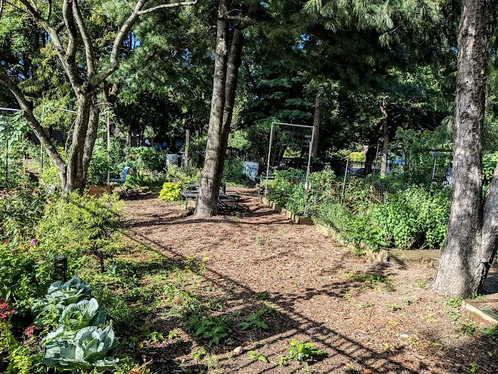 Risse Street Park Picture 3