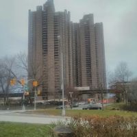 Risse Street Park ico