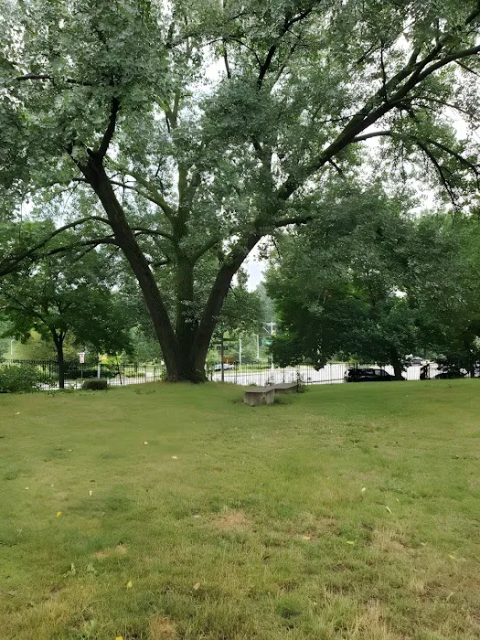Risse Street Park Picture 9