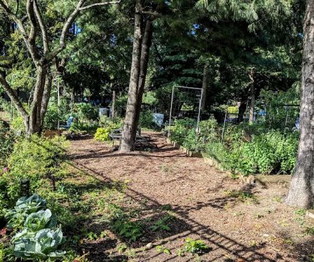 Risse Street Community Garden