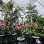 NYBG Ticket Counter
