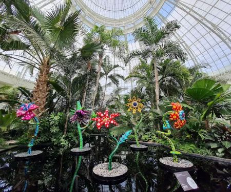 NYBG Ticket Counter