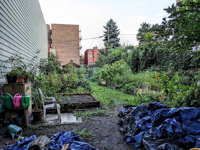 Bainbridge Avenue Garden Picture 5
