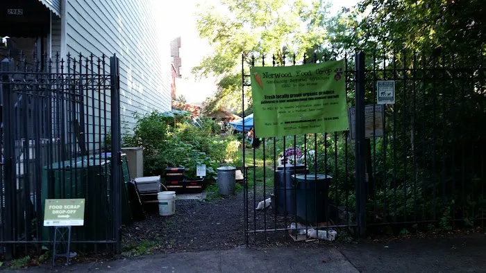 Bainbridge Avenue Garden Picture 6