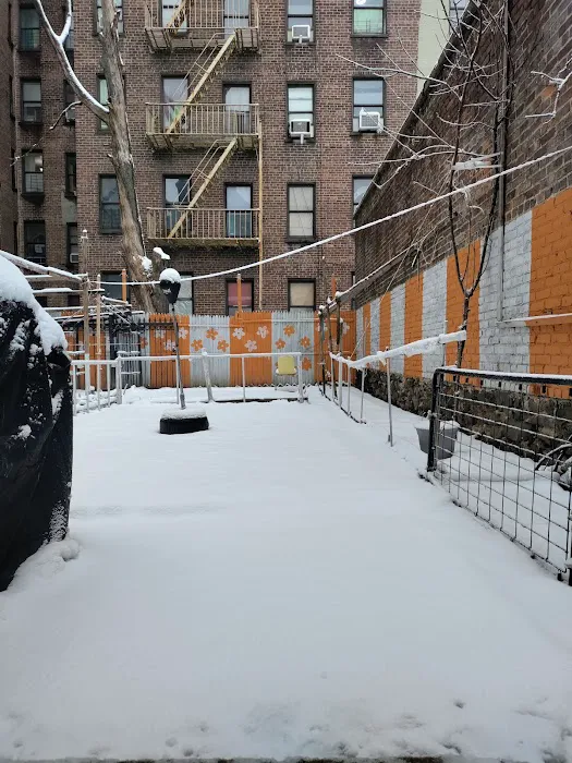 Bainbridge Avenue Garden Picture 3