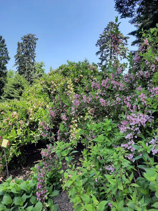 Home Gardening Center Picture 2