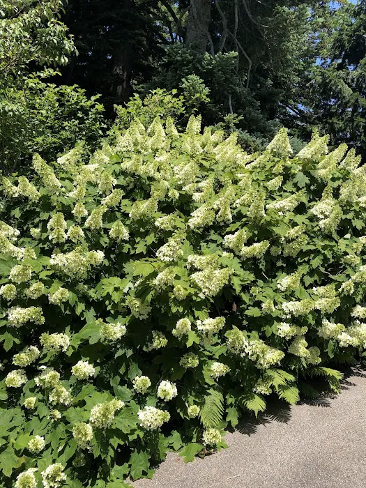 Home Gardening Center Picture 6