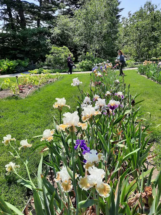Home Gardening Center Picture 1