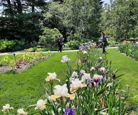 Home Gardening Center