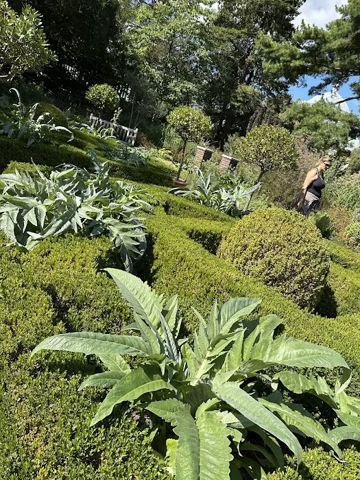 Nancy Bryan Luce Herb Garden, NYBG Picture 7