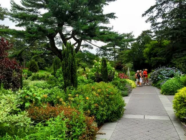 Nancy Bryan Luce Herb Garden, NYBG Picture 2