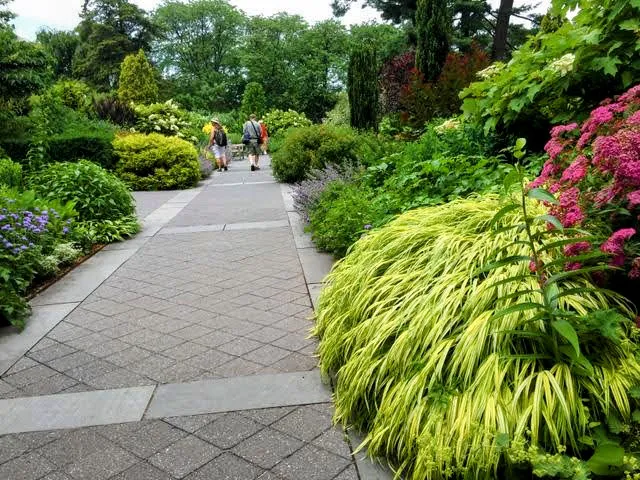 Nancy Bryan Luce Herb Garden, NYBG Picture 3