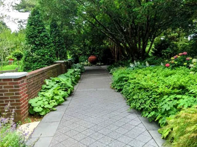Nancy Bryan Luce Herb Garden, NYBG Picture 4