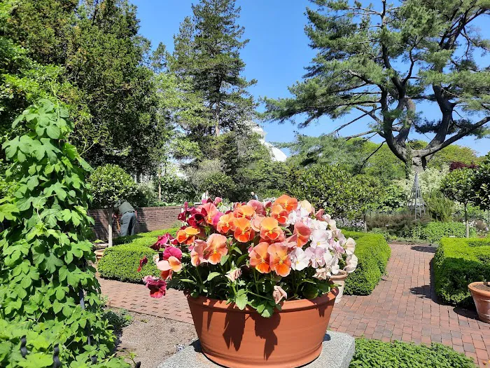 Nancy Bryan Luce Herb Garden, NYBG Picture 8