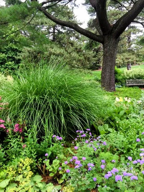 Nancy Bryan Luce Herb Garden, NYBG Picture 1
