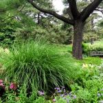 Nancy Bryan Luce Herb Garden, NYBG
