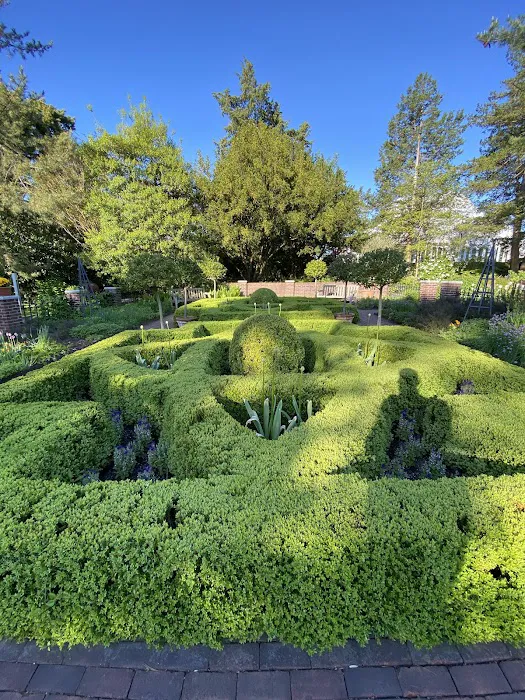 Nancy Bryan Luce Herb Garden, NYBG Picture 6