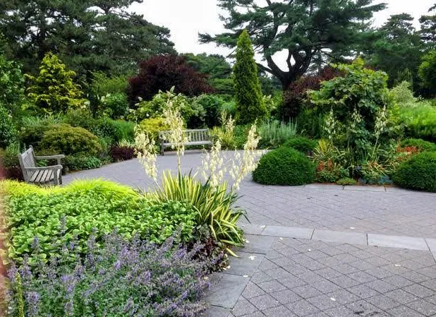 Nancy Bryan Luce Herb Garden, NYBG Picture 5