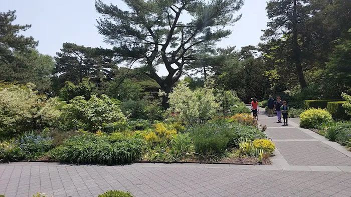Jane Watson Irwin Perennial Garden, NYBG Picture 2