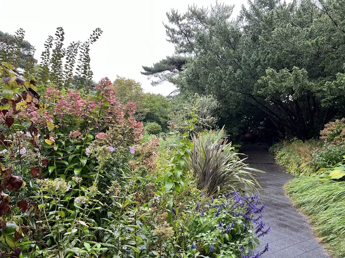 Jane Watson Irwin Perennial Garden, NYBG Picture 3