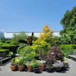 Jane Watson Irwin Perennial Garden, NYBG