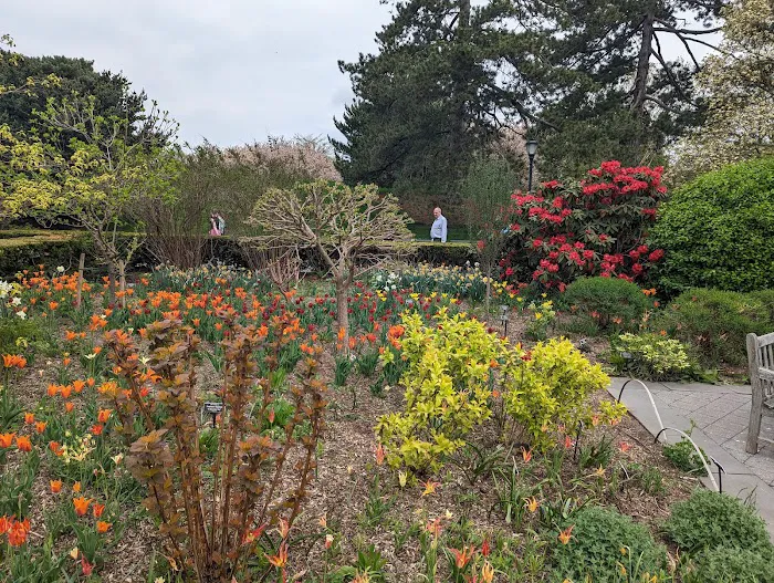 Jane Watson Irwin Perennial Garden, NYBG Picture 10