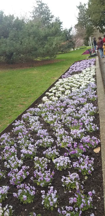 Ladies' Border, NYBG Picture 6