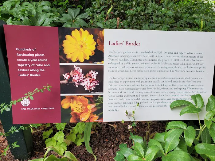 Ladies' Border, NYBG Picture 4