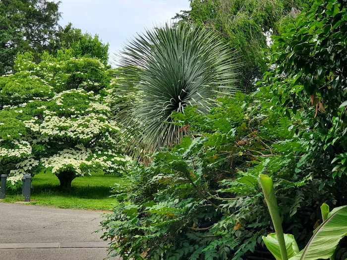 Ladies' Border, NYBG Picture 2