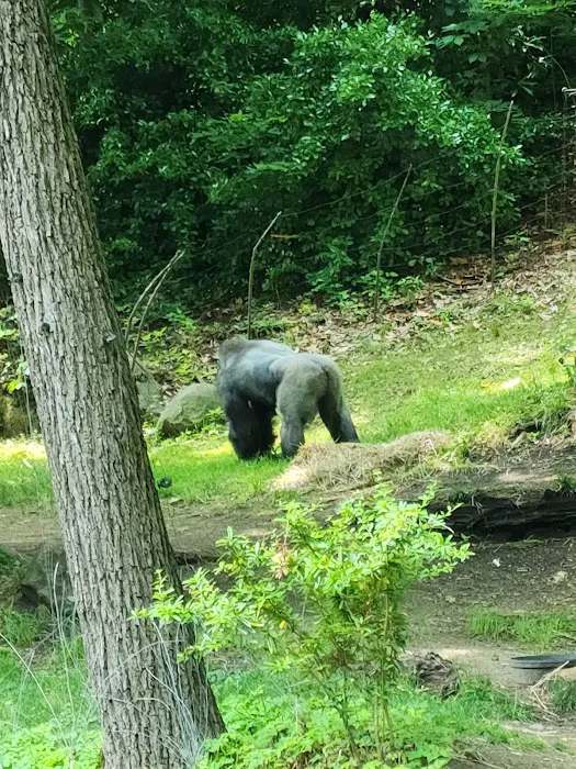 Bronx Park Picture 3