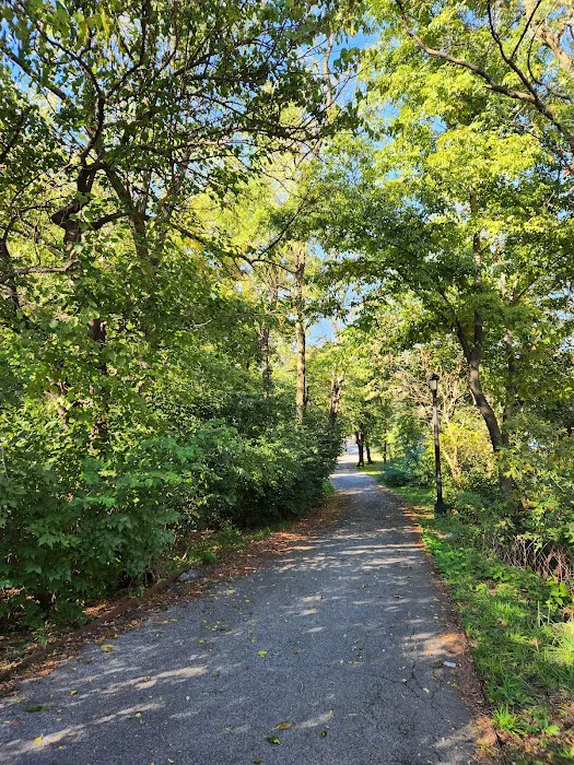 Bronx Park Picture 1