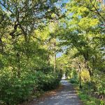 Bronx Park