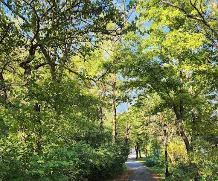 Bronx Park