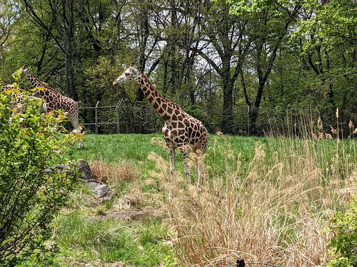 Bronx Park Picture 7
