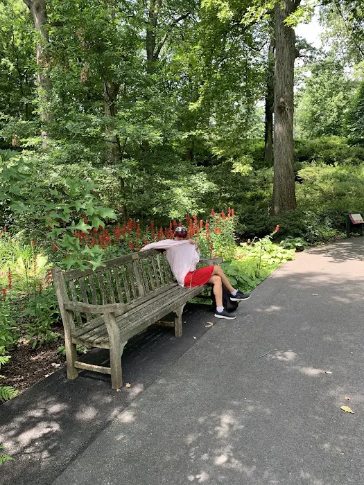 Everett Garden Gate, NYBG Picture 9