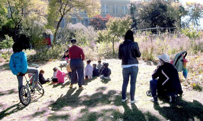 Meg’s Garden Community & Edible Forest Picture 2