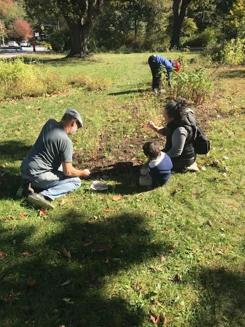Meg’s Garden Community & Edible Forest Picture 1