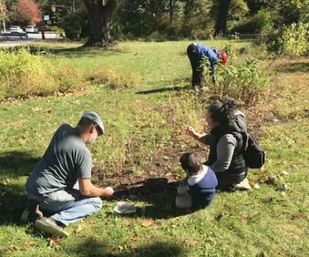Meg’s Garden Community & Edible Forest