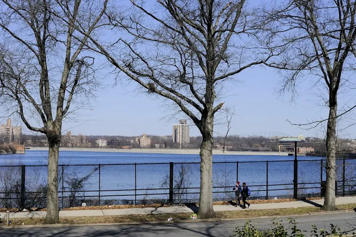 Jerome Park Picture 7