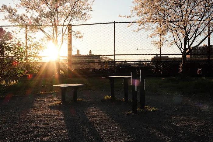 Jerome Park Picture 6