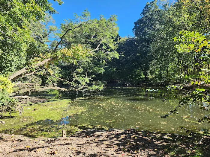 80 Van Cortlandt Park S Picture 2