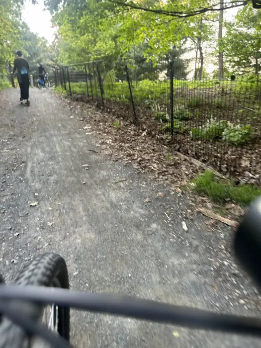 80 Van Cortlandt Park S Picture 10