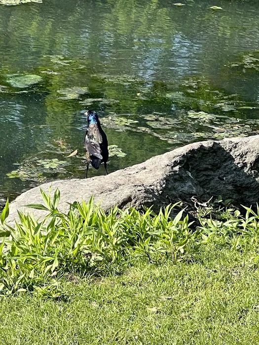 80 Van Cortlandt Park S Picture 4