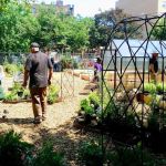 Garden Of Youth