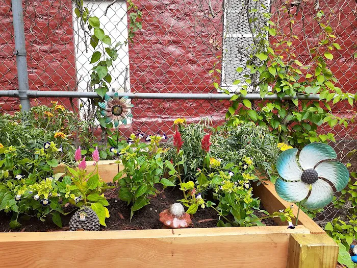 Hornaday Community Garden Picture 2