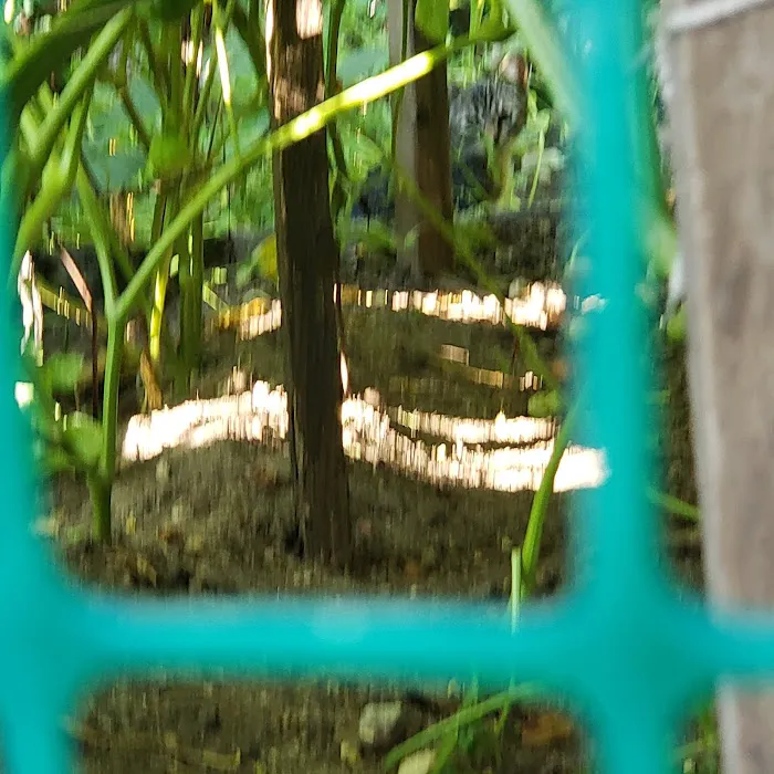 Garden of Happiness Picture 6